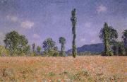 Claude Monet Poppy Field painting
